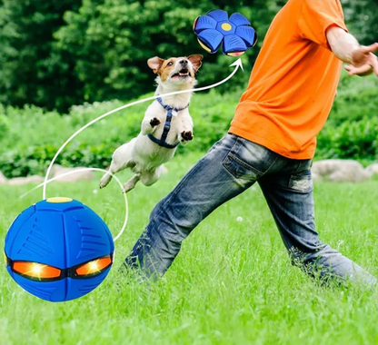 Flying Saucer Ball Dog Toy used outdoor